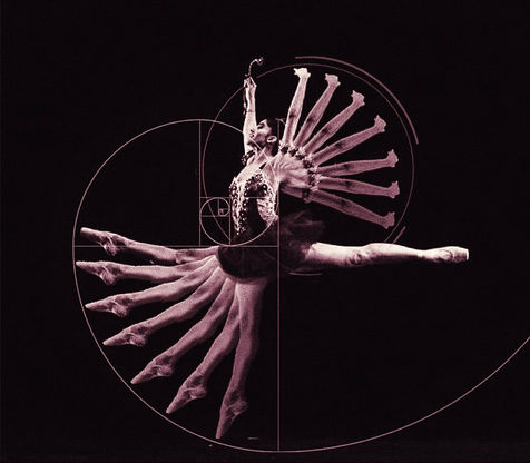 923Hz / Human Factors Engineering & Healthcare Efficiency 1/n