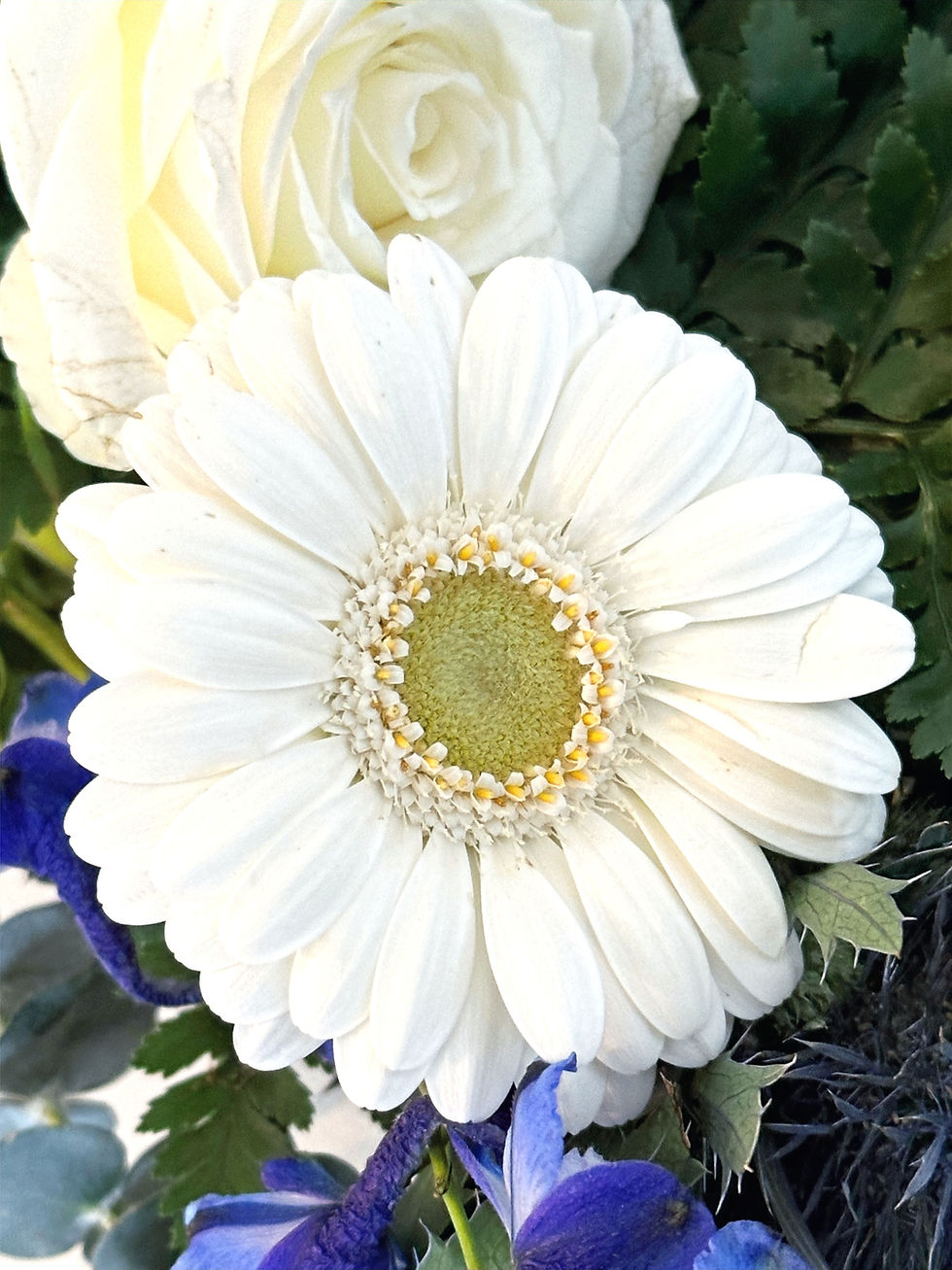 Thumbnail: Blue & White Sheaf