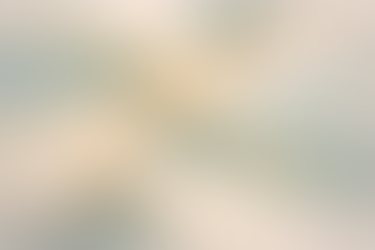 Getting Started with Ollama: Running AI Models Made Easy