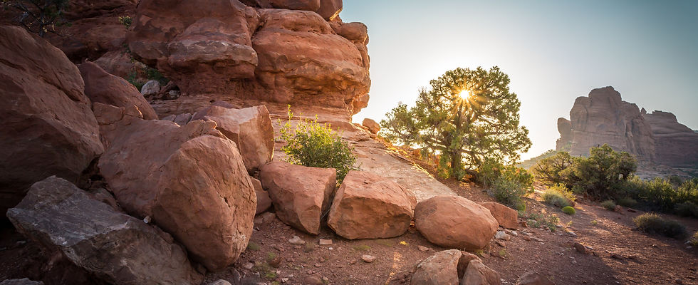 new mexico behavioral therapist