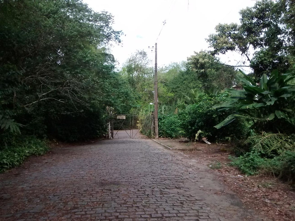 1_-_A_estrada_vai_até_esse_ponto,_onde__há_um_portão_trancado
