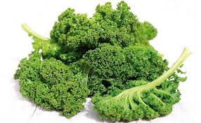 KALE.jpg