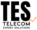 TES Logo