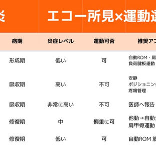 石灰沈着性腱板炎とエコー所見