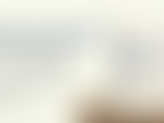 The Programmable Age