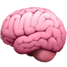 emoji de cerebro
