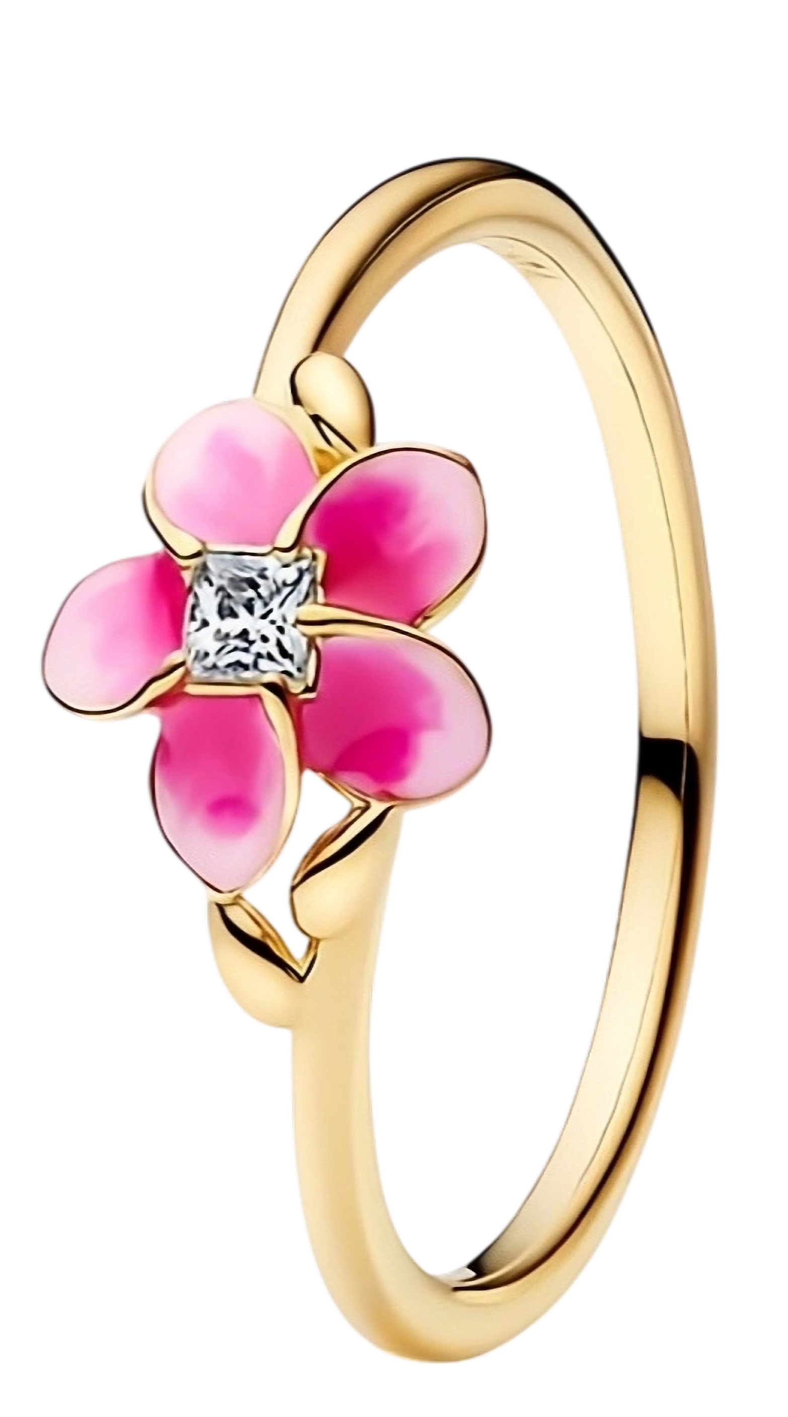 Anillo Encanto del Mar