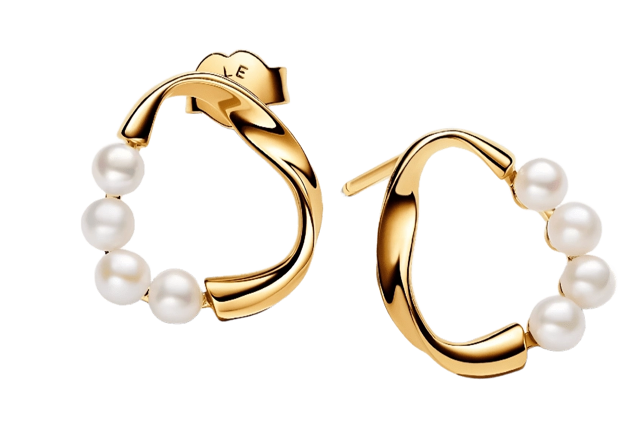 Aretes Perlas Eternas