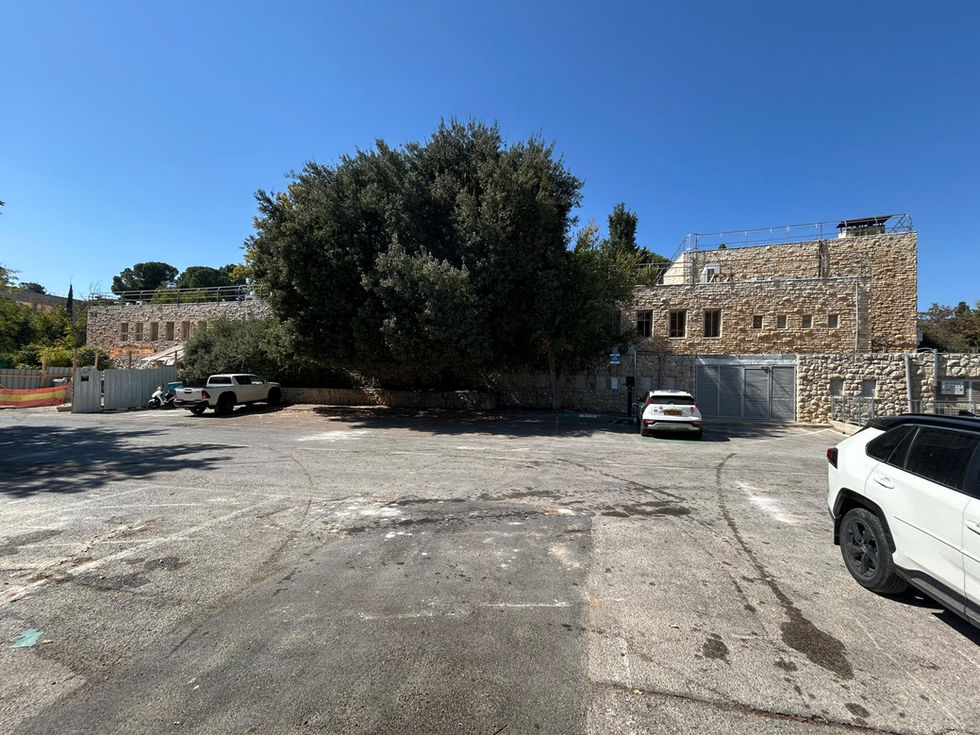 WhatsApp Image 2025-10-16 at 12.35.50