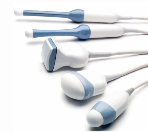 Dr. Segnini musculoskeletal ultrasound ARDMS tendons ligaments