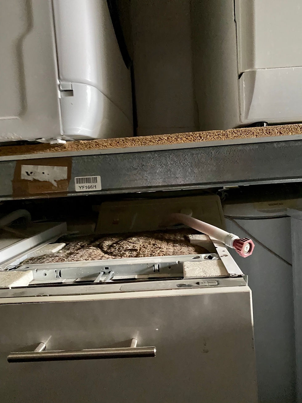 Miniaturbild: Geschirrspüler Miele voll integriert￼