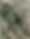 IMG_2188.jpeg