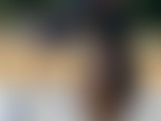 Anatomy of a War Horss