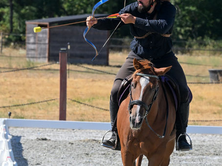 Anatomy of a War Horss