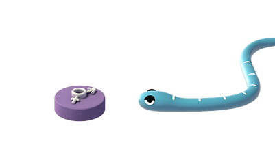 sn3.png