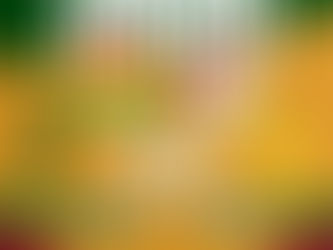 CAMPEONATO INTERMUNICIPAL FEMININO 2025 – ELAS ENTRAM EM CAMPO!