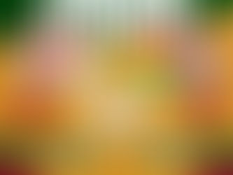  VAMOS PRA CIMA, SELEÇÃO FEMININA! 