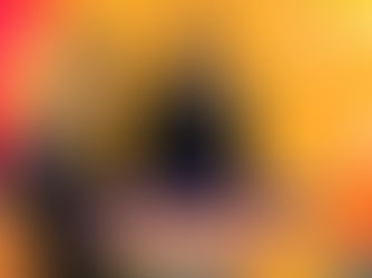 Show no CarnaAmapá 2026!