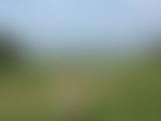 GWの出来事@葉山