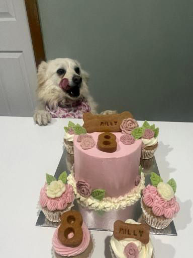Pink dog birthday cake with matching cupcakes, cookie bones, and icing roses for Milly’s 8th birthday.