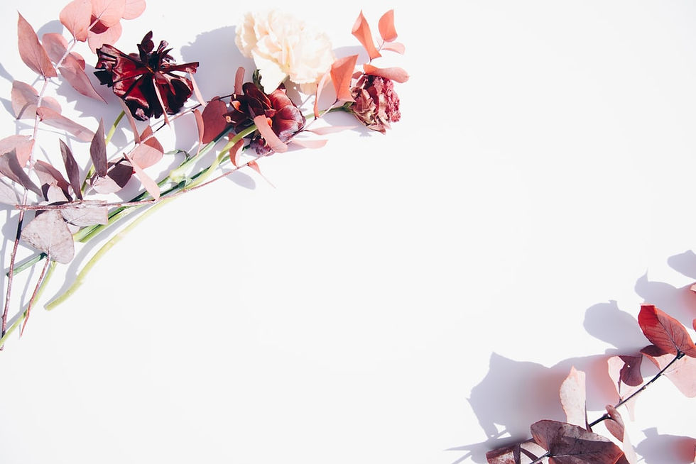 background 2.jpeg