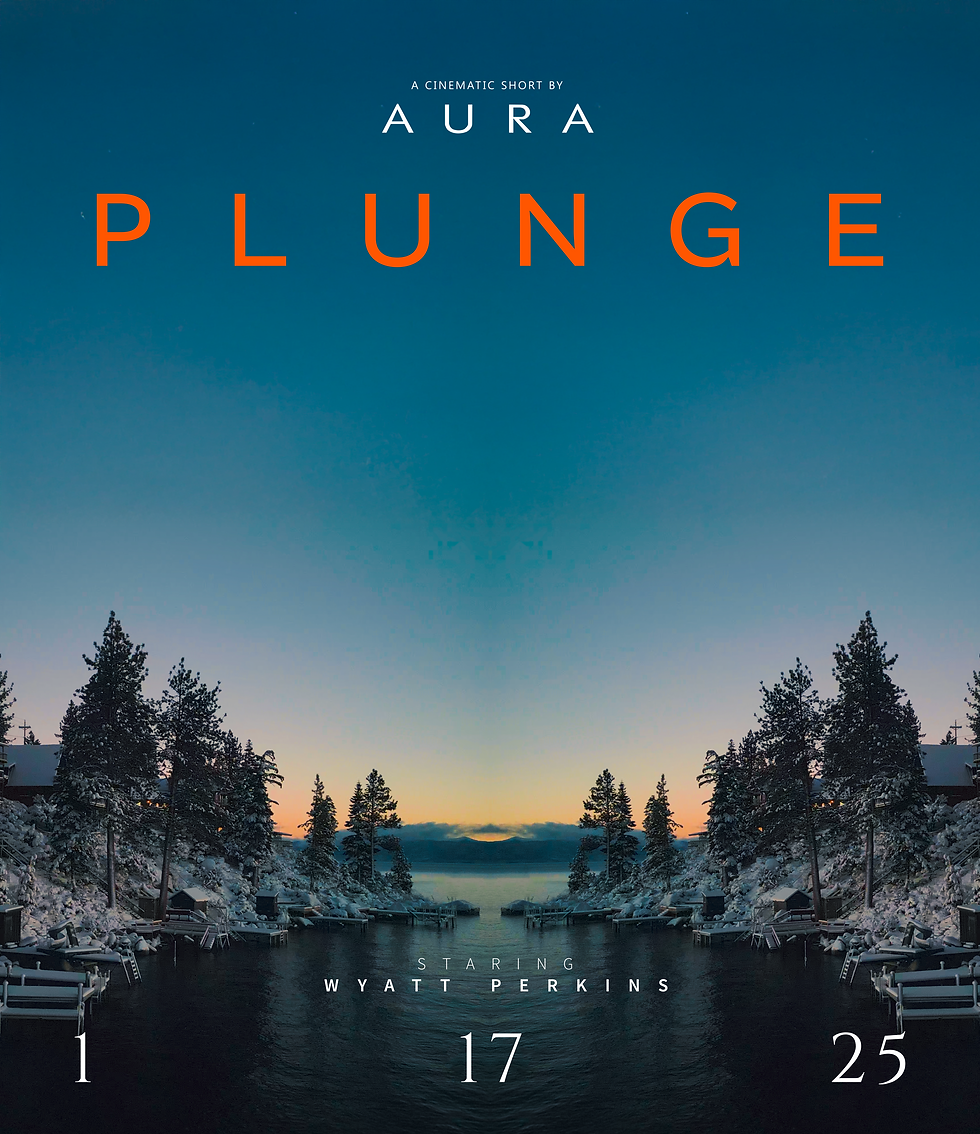 Aura Poster Plunge.png