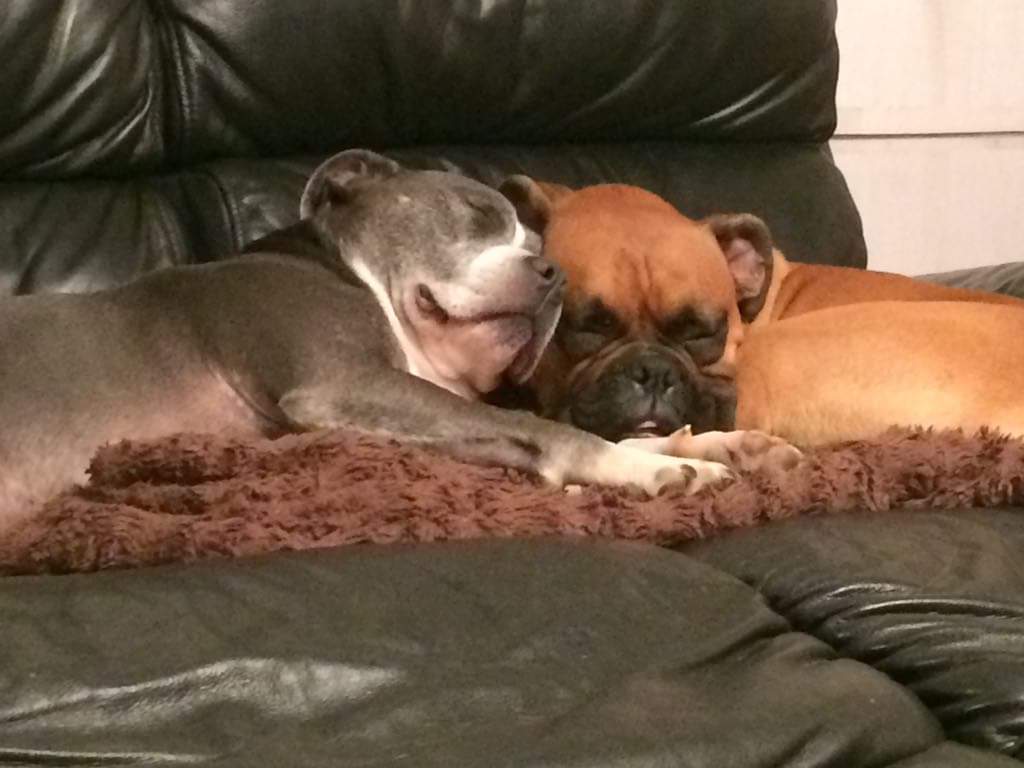 Sid & Rocco