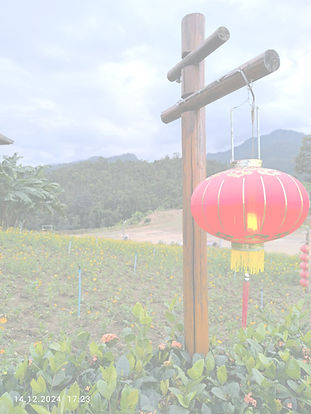 פנס סיני_edited.jpg