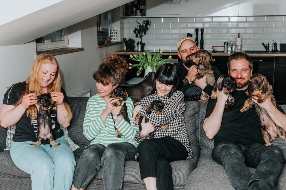 Group. photo of puppies and people