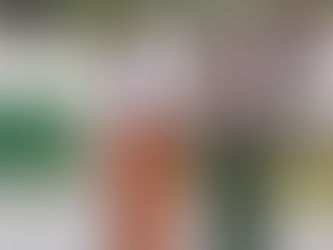 PREFEITO NOMEA SIMONE CARDOSO PARA A SECRETARIA MUNICIPAL DE IGUALDADE RACIAL