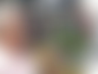 Hoje é dia da "Feira da Agricultura Familiar"