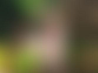 Aniversariantes de hoje, 7