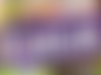 Armagedon dá primeiro grito de Carnaval hoje na Barraca de Pau