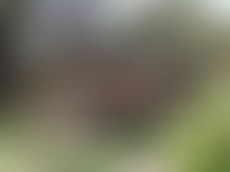 Poço Grande e Barriquinha
Do livro: POEMARÃES ou GUIMARÃES EM POESIA de Paulo Oliveira - Paulíver