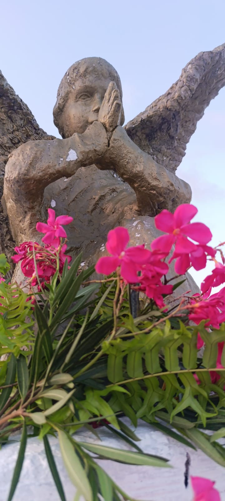        Estátua de um anjo, obra da escultora e escritora Almerinda Gomes Ricard, também sepultada no local.