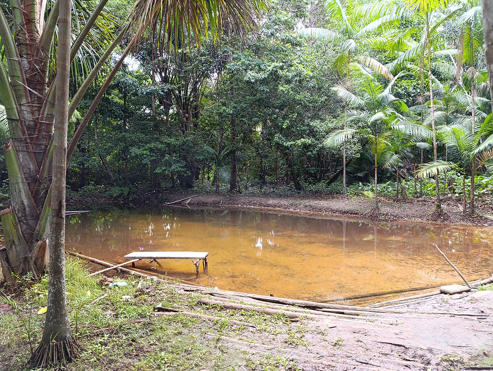 Rio em Vila Nova, Guimarães, que ainda guarda sua essência de antigamente, com o banco de lavar que resiste ao tempo e conta histórias de gerações.
