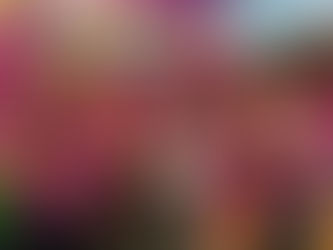 PROCURDORIA DA MULHER ORGANIZA CORRIDA EM CAMPANHA CONTRA A VIOLÊNCIA Ä MULHER