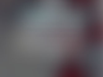 Mensagem de Guilherme Transportes