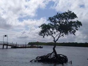 Carnaval triste. No ano que vem a gente desforra