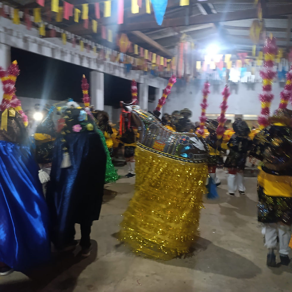 Os brincantes reunidos, vestindo as cores da cultura e mostrando que a tradição segue viva no coração do povo vimarense.