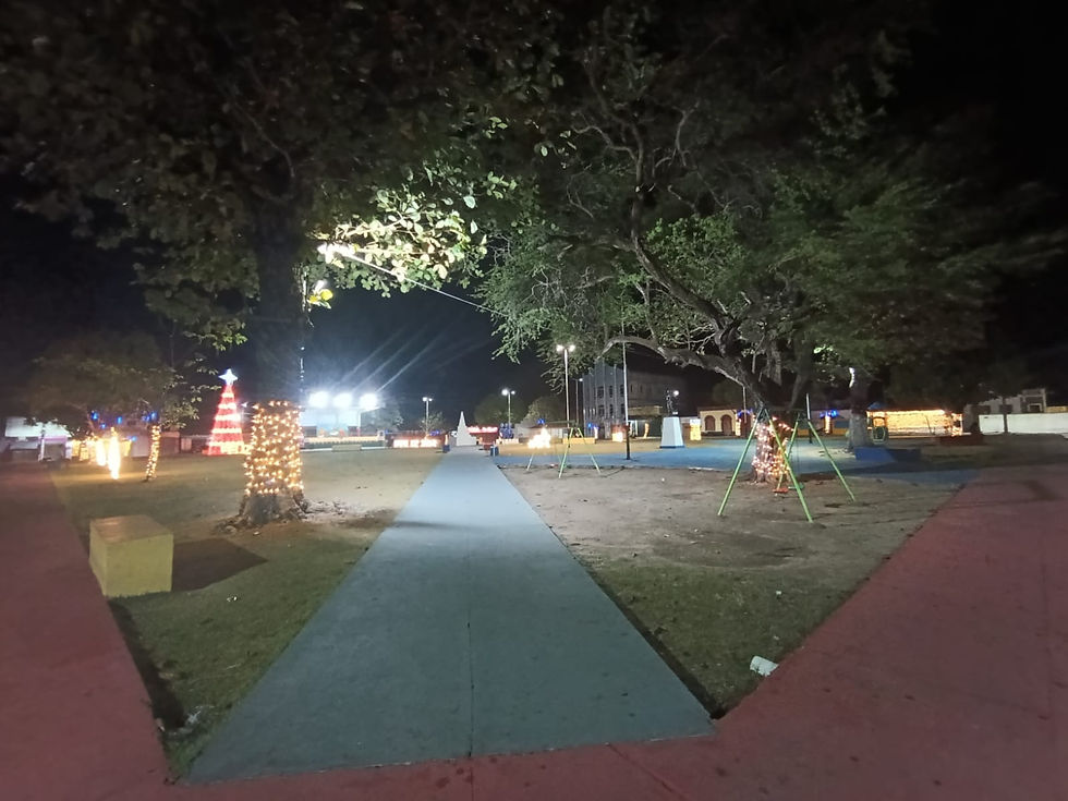 A VÉSPERA DE NATAL EM GUIMARÃES ( DIA 24)