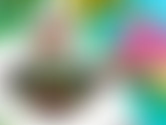 Espaço Freedom apresenta o Roots da Proclamação da República