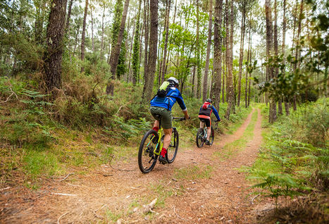 Leisure Lakes Bikes