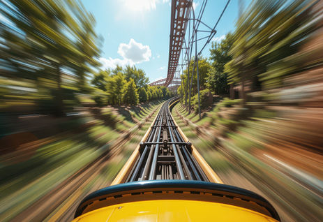 Merlin - Annual Pass