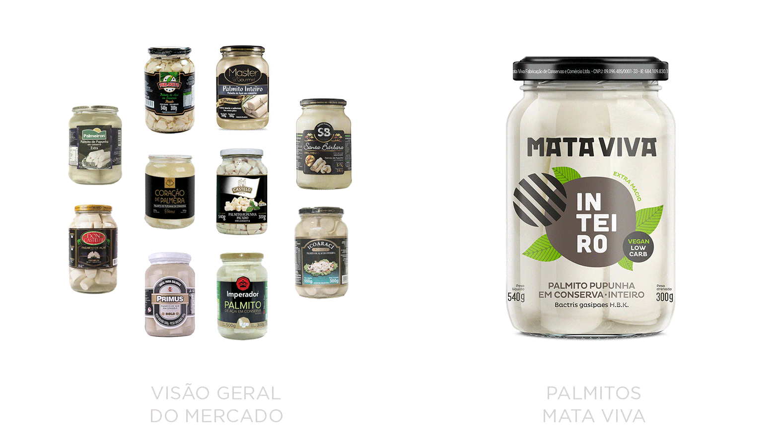 mataviva.gif