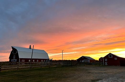 RANCH SUNSET.png