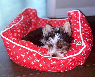 supreme red lv luxury dog bed