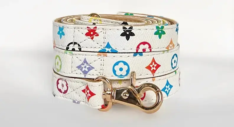 Thumbnail: The Vibrant - Collar & Leash Set