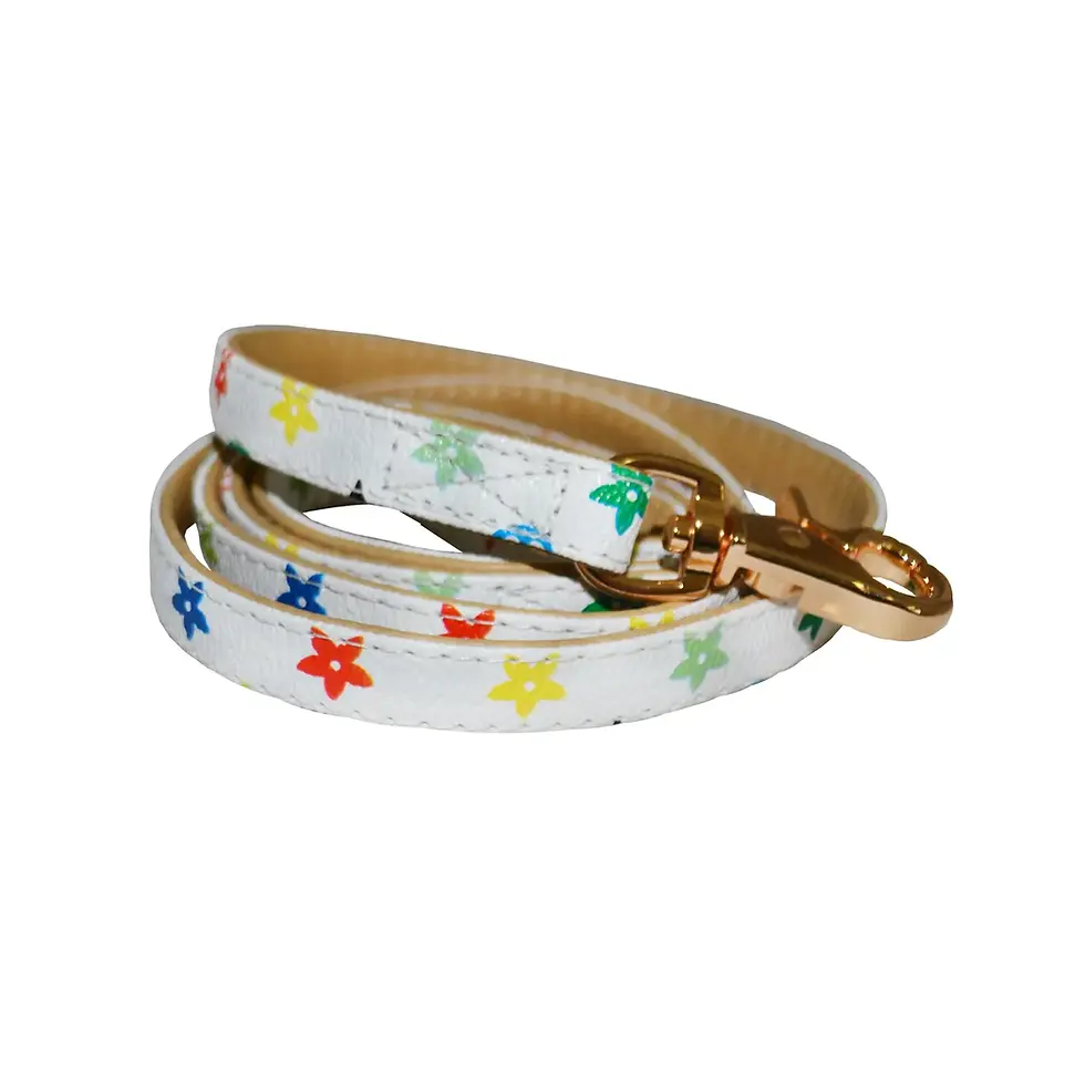 Thumbnail: The Vibrant - Collar & Leash Set