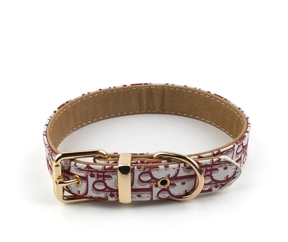 Thumbnail: Dior Doge Collar